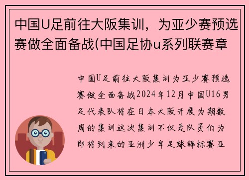 中国U足前往大阪集训，为亚少赛预选赛做全面备战(中国足协u系列联赛章程)