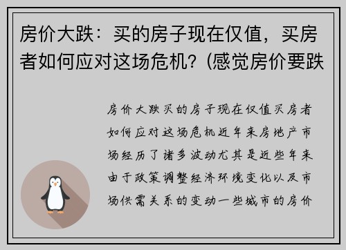 房价大跌：买的房子现在仅值，买房者如何应对这场危机？(感觉房价要跌)