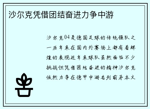 沙尔克凭借团结奋进力争中游