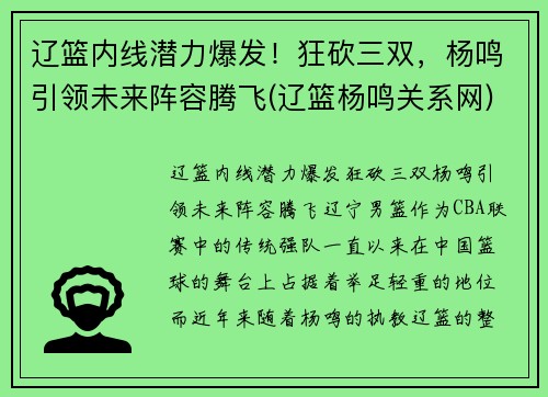 辽篮内线潜力爆发！狂砍三双，杨鸣引领未来阵容腾飞(辽篮杨鸣关系网)