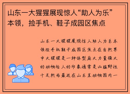 山东一大猩猩展现惊人“助人为乐”本领，捡手机、鞋子成园区焦点