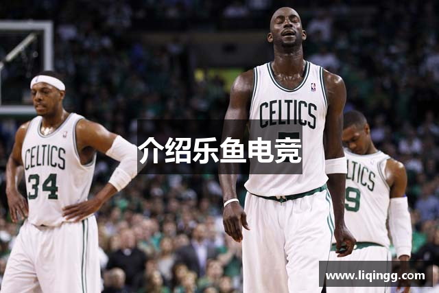 介绍乐鱼电竞